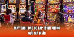 Máy Đánh Bạc Có Lập Trình Không | Giải Mã Bí Ẩn