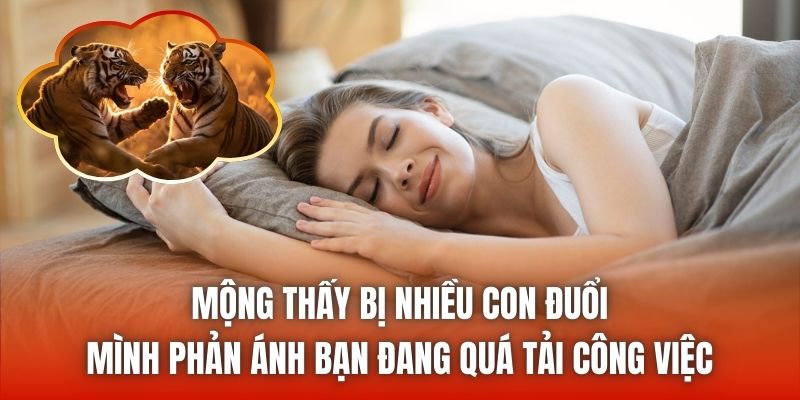 Mộng thấy bị nhiều con đuổi mình phản ánh bạn đang quá tải công việc